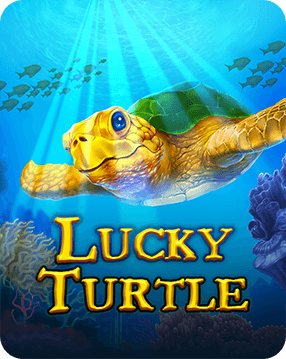 Lucky Turtle